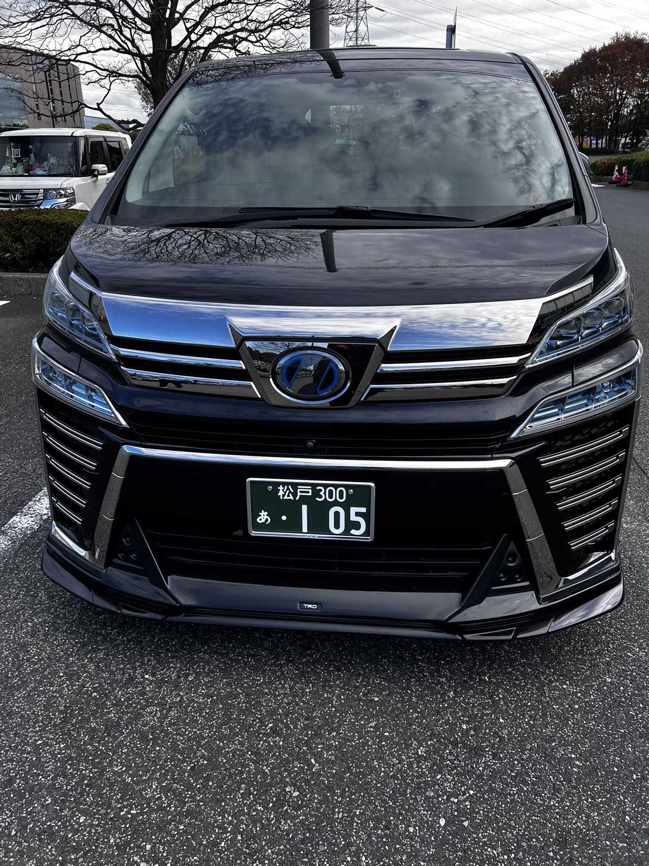 ALPHARD